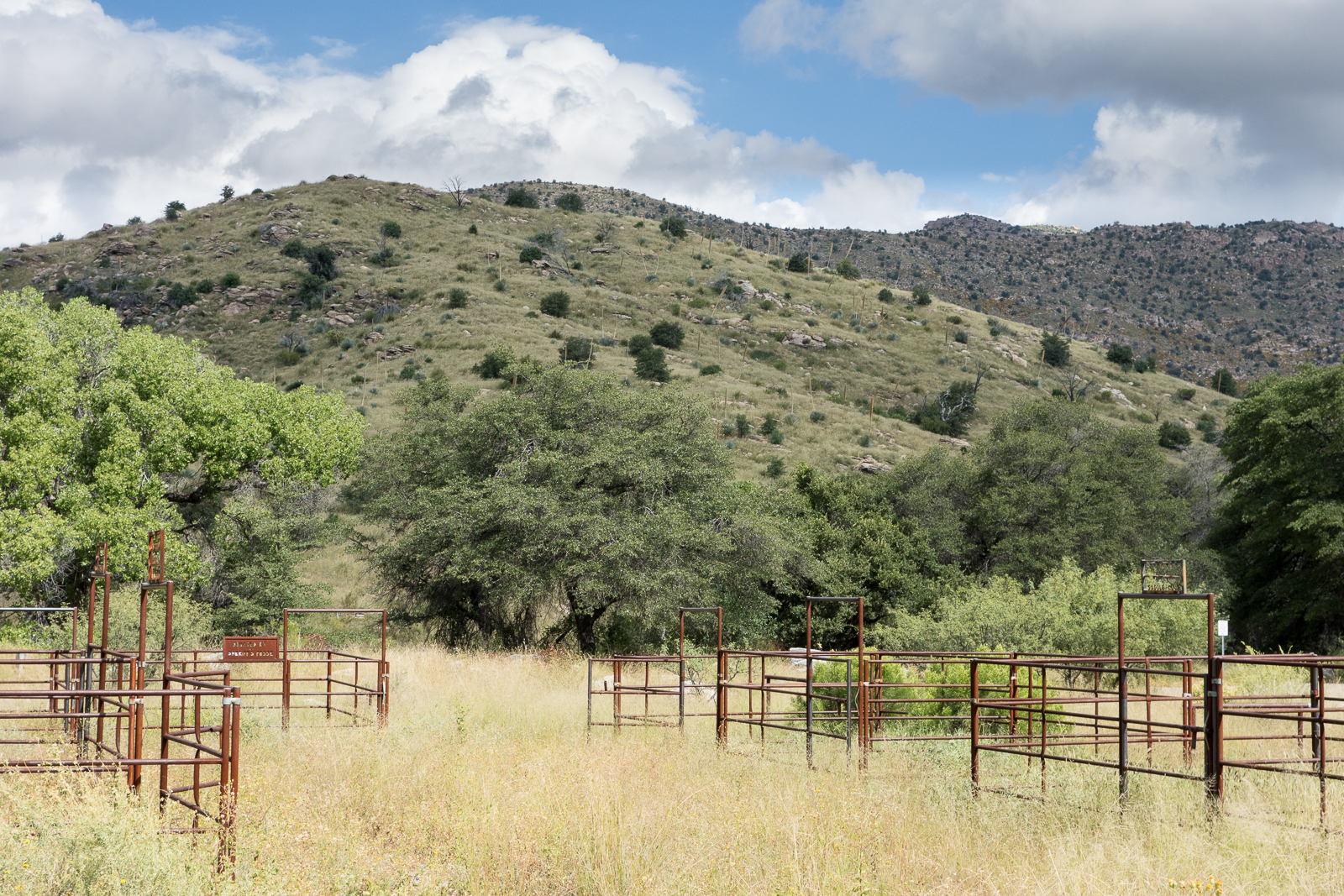 Corrals in the Gordon Hirabayashi Recreation Area, Santa Catalina Mountains. October 2015.