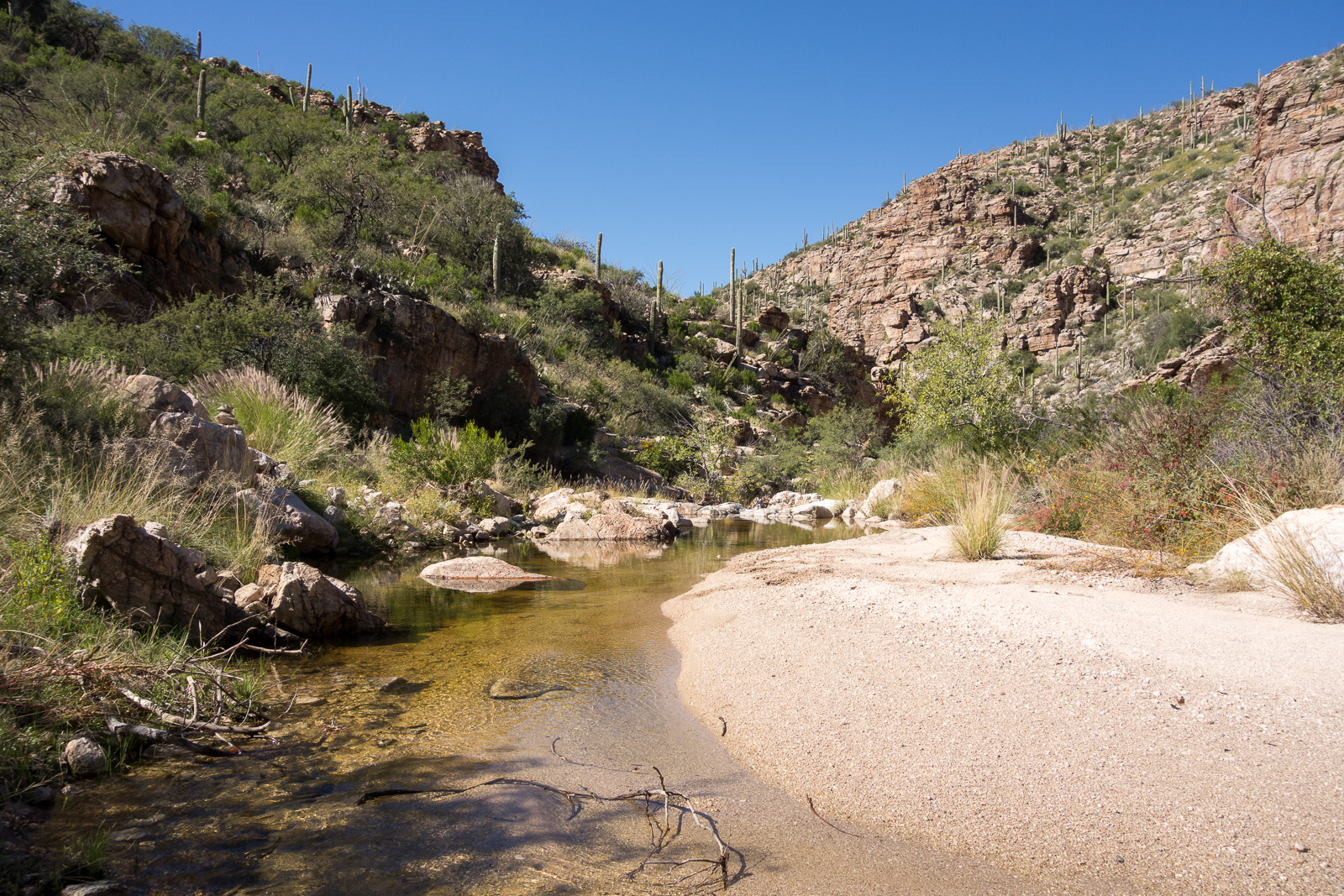 Water flowing in Agua Caliente Canyon at the FR4445 crossing. October 2015.