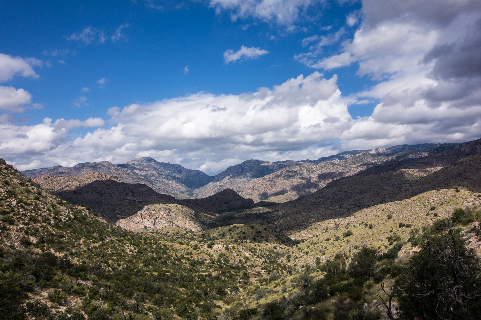 Looking across the Santa Catalina Mountains - from near Shreve Saddle, looking down on Sycamore Reservoir. October 2015.