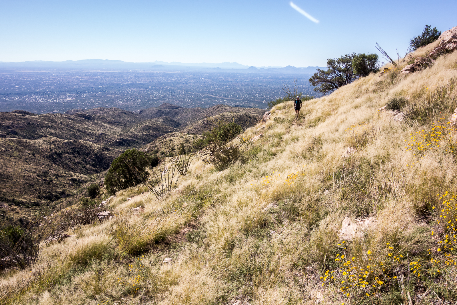 Agua Caliente Trail below False Hope Hill - heading for the summit! October 2015.