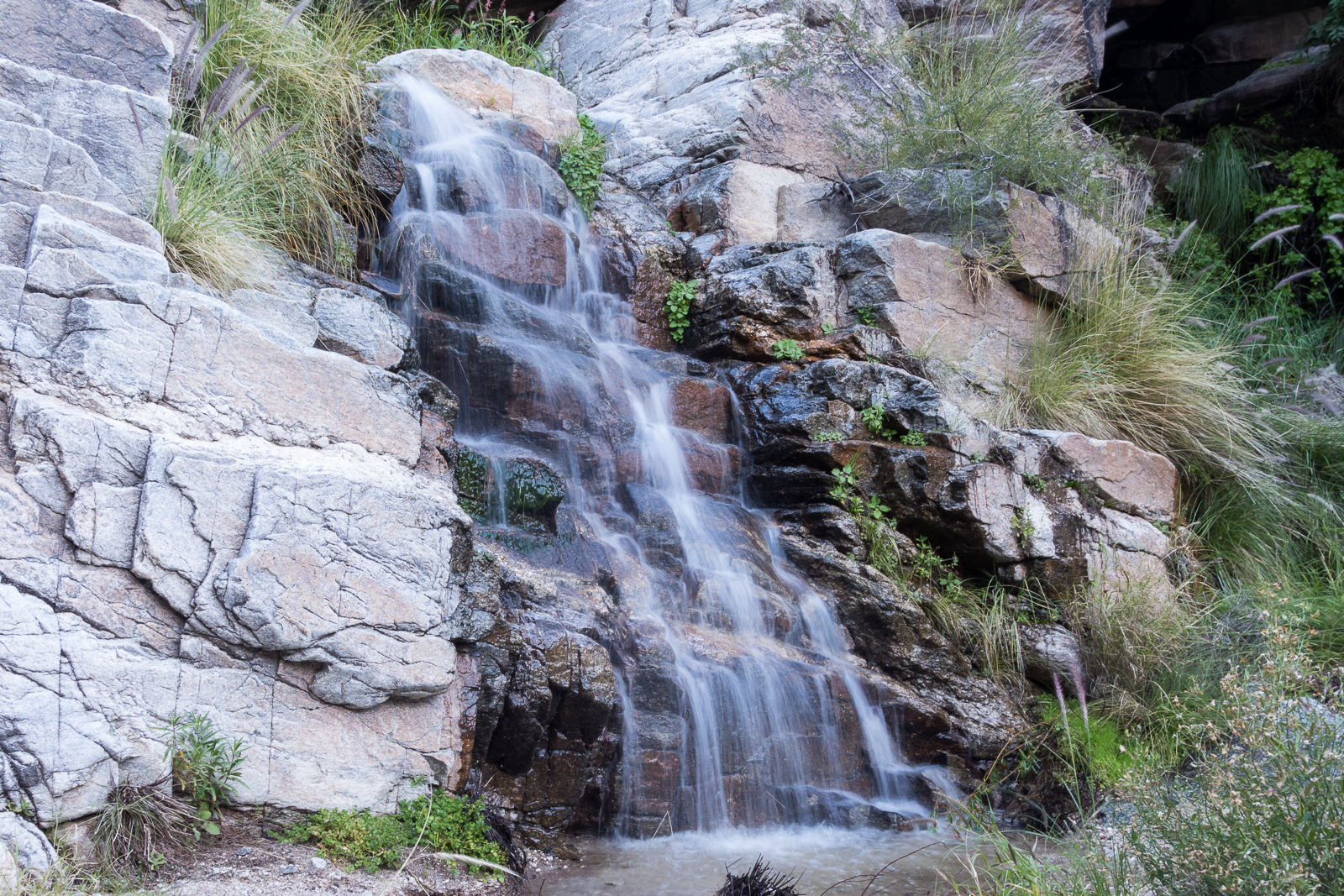 A beautiful small set of falls a few minutes up Soldier Canyon from Hairpin Turn. November 2015.