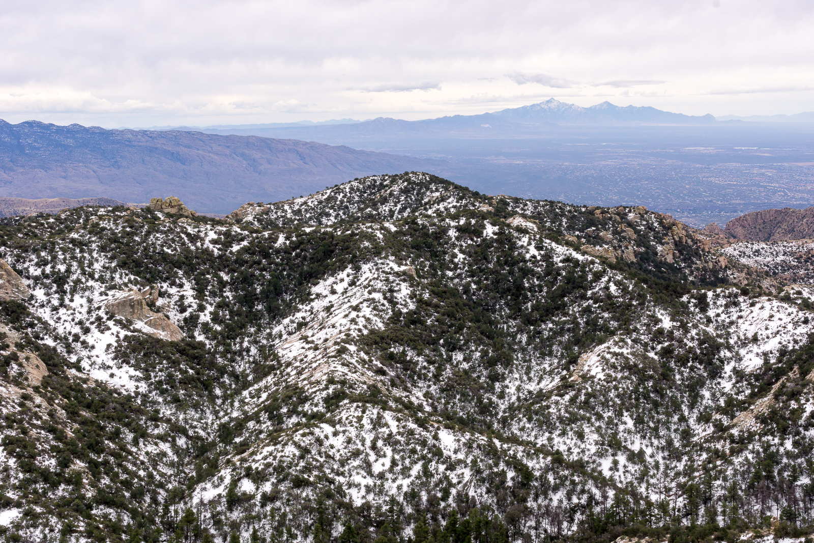A snowy hillside - taken from the ridge south east of Bear Canyon. Tucson and Mount Wrightson in the background. December 2015.