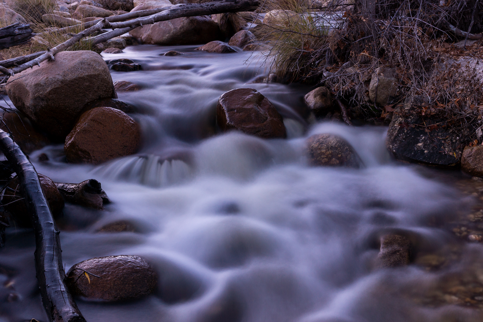 Water flowing in Sabino Canyon. December 2015.