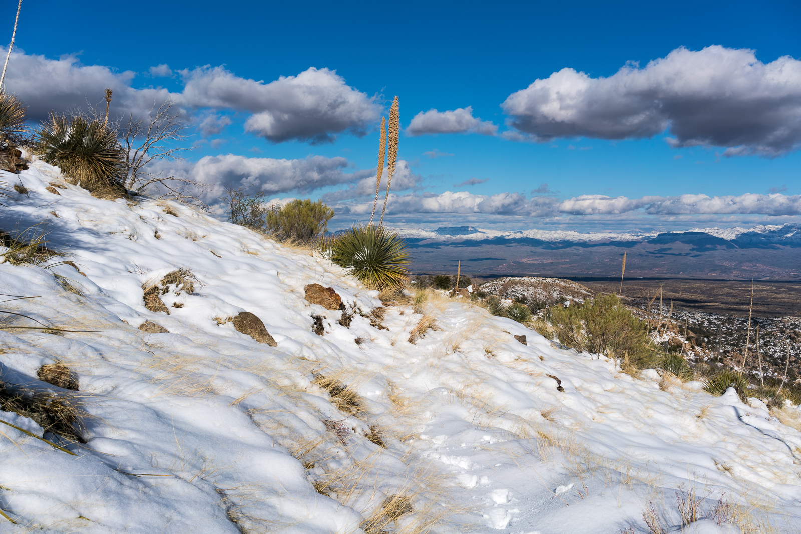 Cody Trail - in the snow! January 2016.