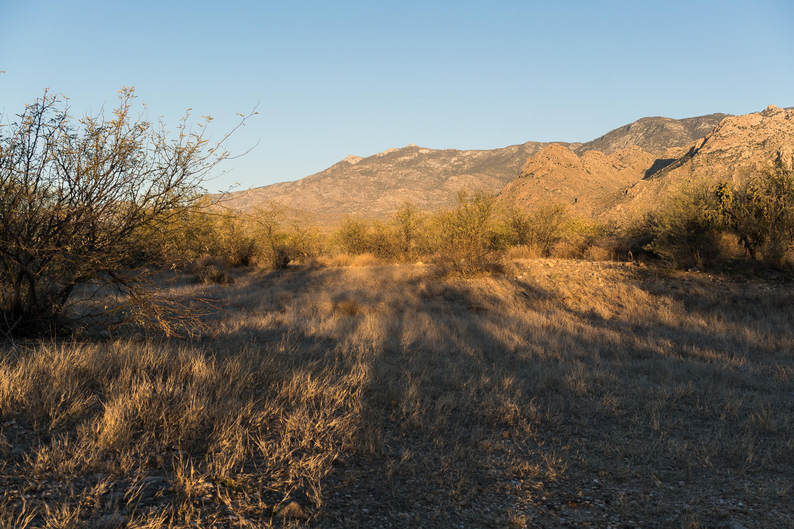 Hohokam Ballcourt along the Romero Ruin Interpretive Trail. January 2016.