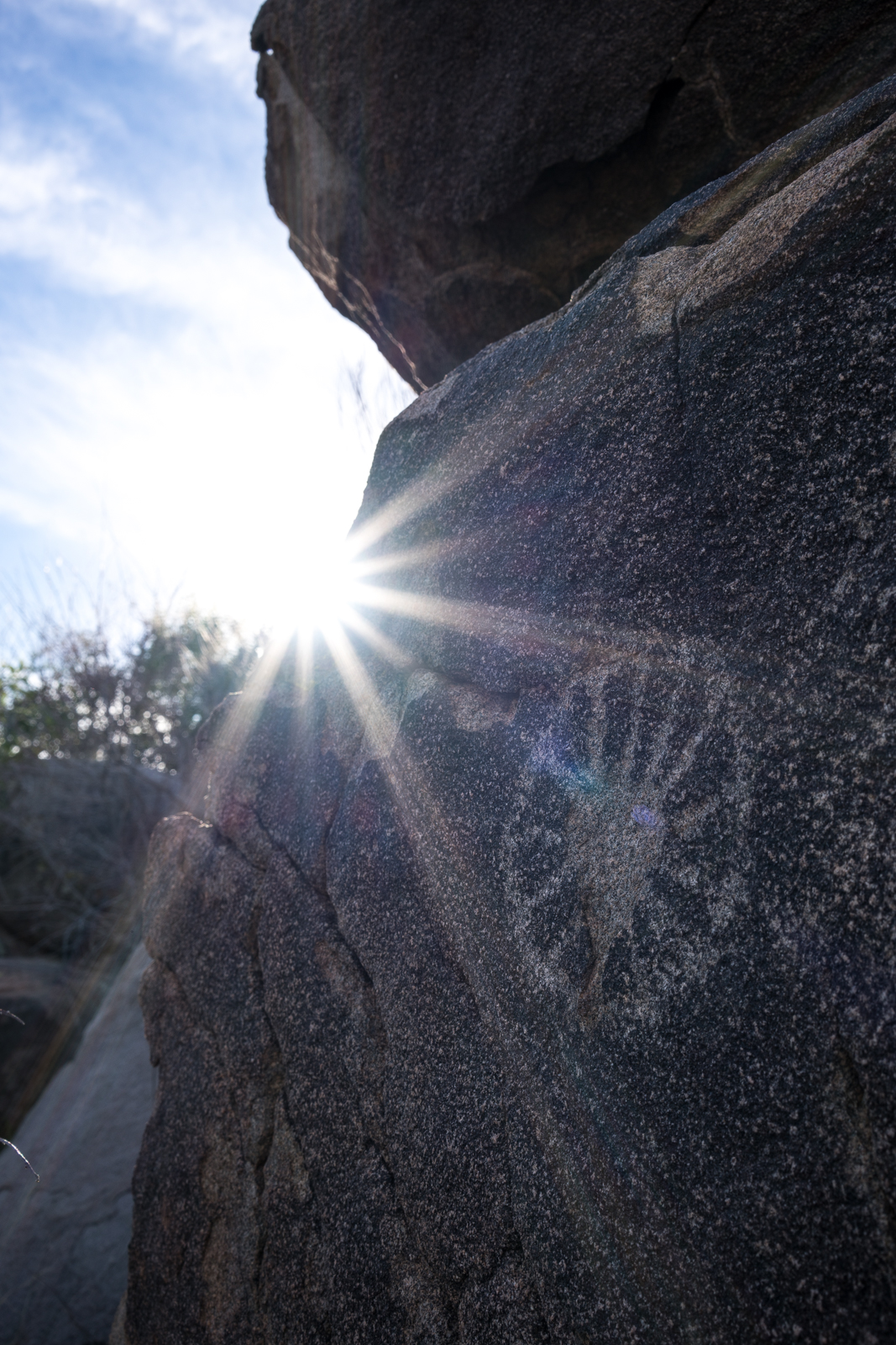 Flower petroglyph. January 2016.