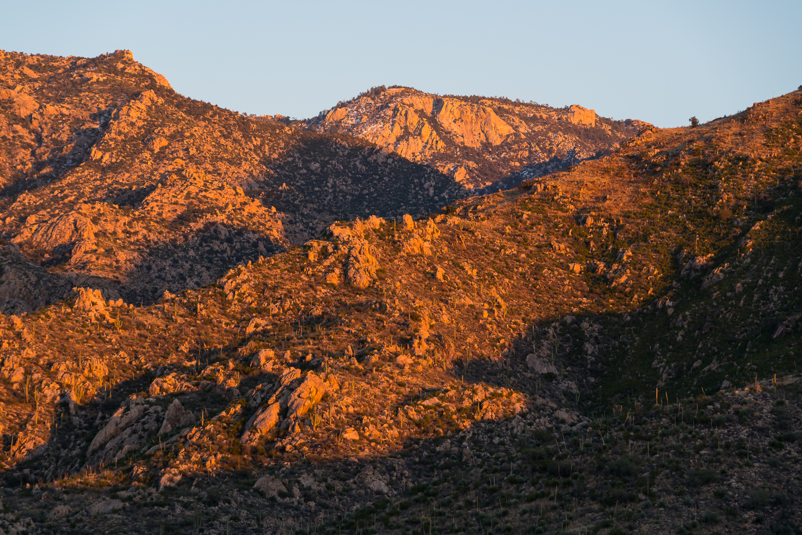 Sunset light in Catalina State Park. January 2016.