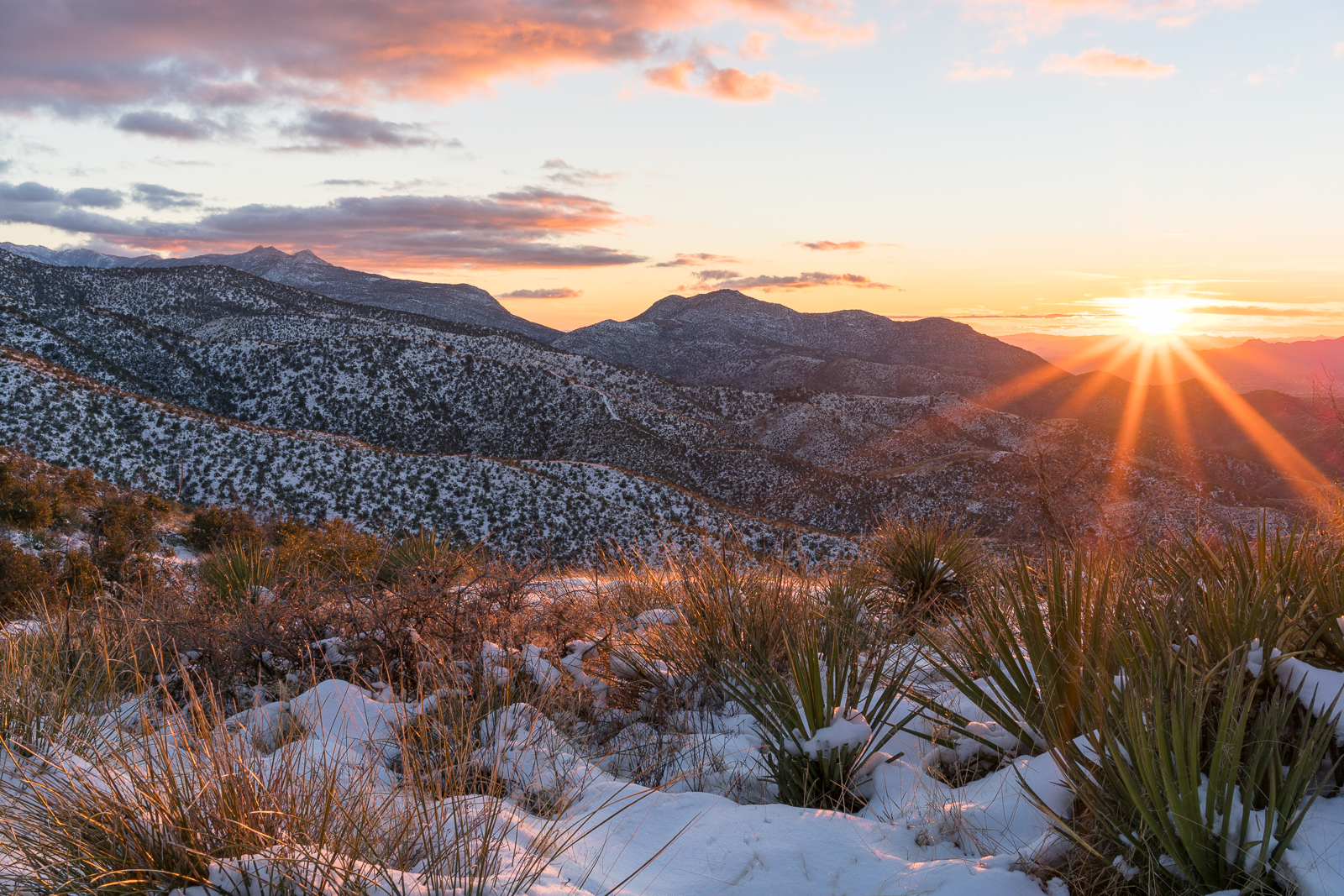 Sunset from just off the Oracle Ridge Trail. January 2015.