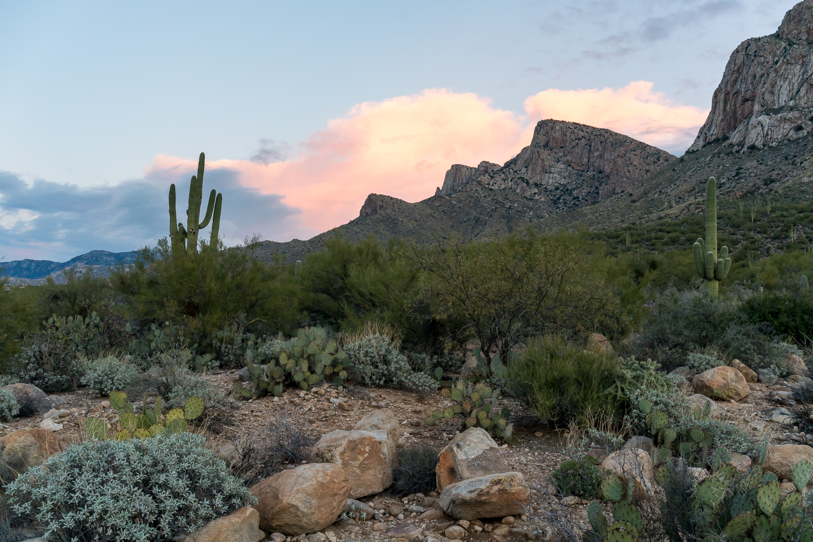 The edge of the storm - Pusch Ridge, Linda Vista Trails. January 2016.