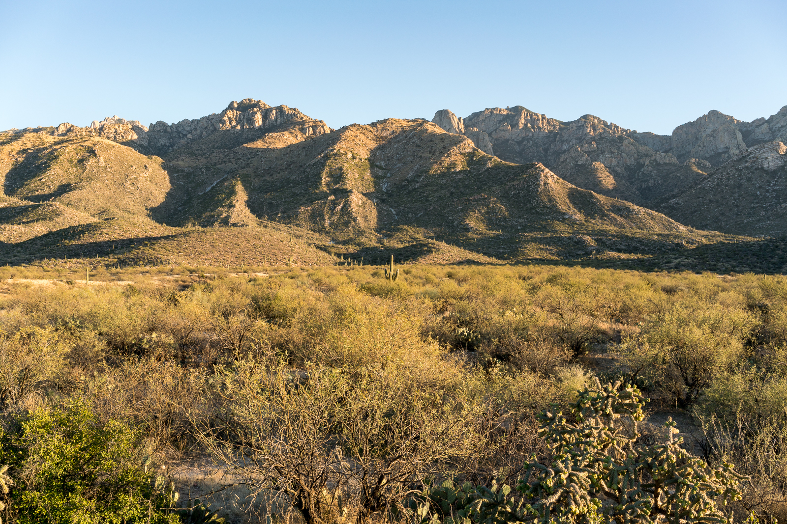 View from near a trash mound in the Romero Ruin. January 2016.