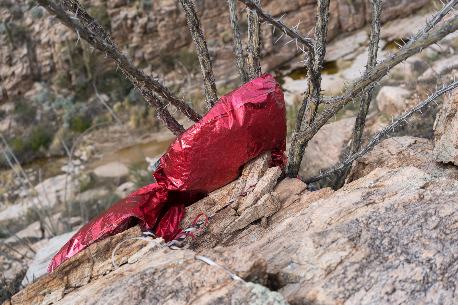 Balloon - trash on a hillside above La Milagrosa Canyon - there was a 2nd balloon below... February 2016.