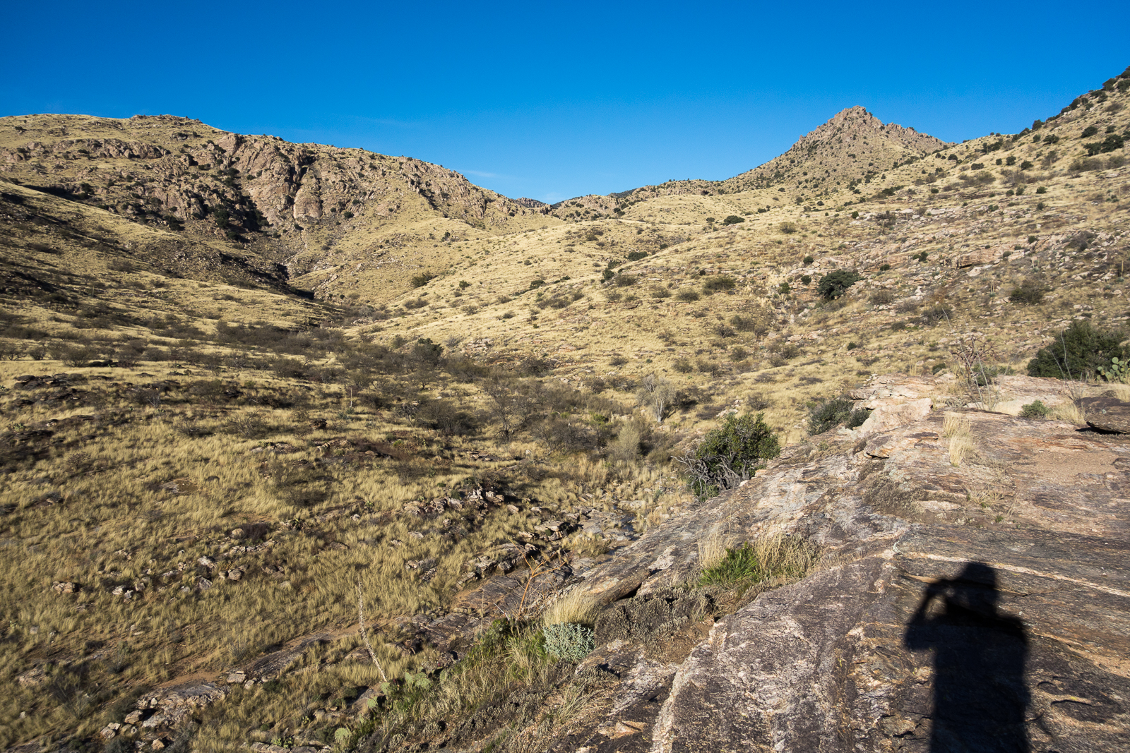 Grassy hillsides above Soldier Canyon on the Soldier Trail. February 2016.