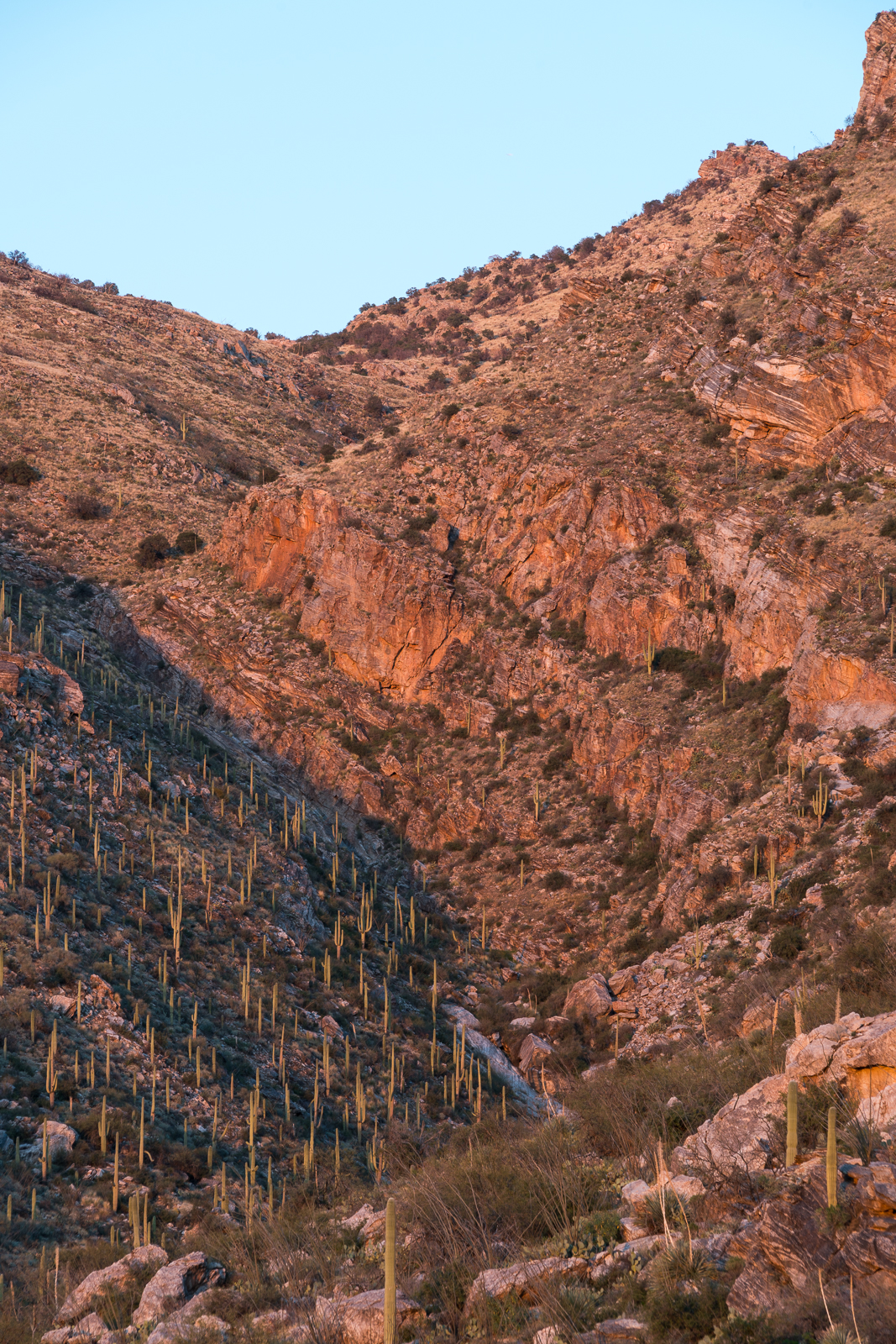 Sunset in Pontatoc Canyon. February 2016.