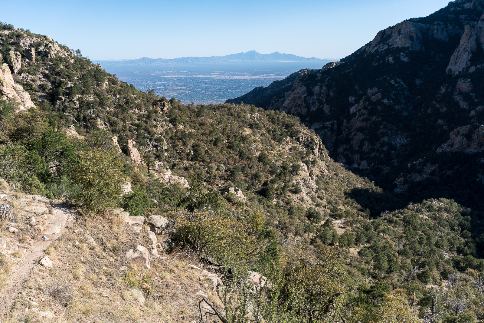 Descending back into Ventana Canyon. March 2016.