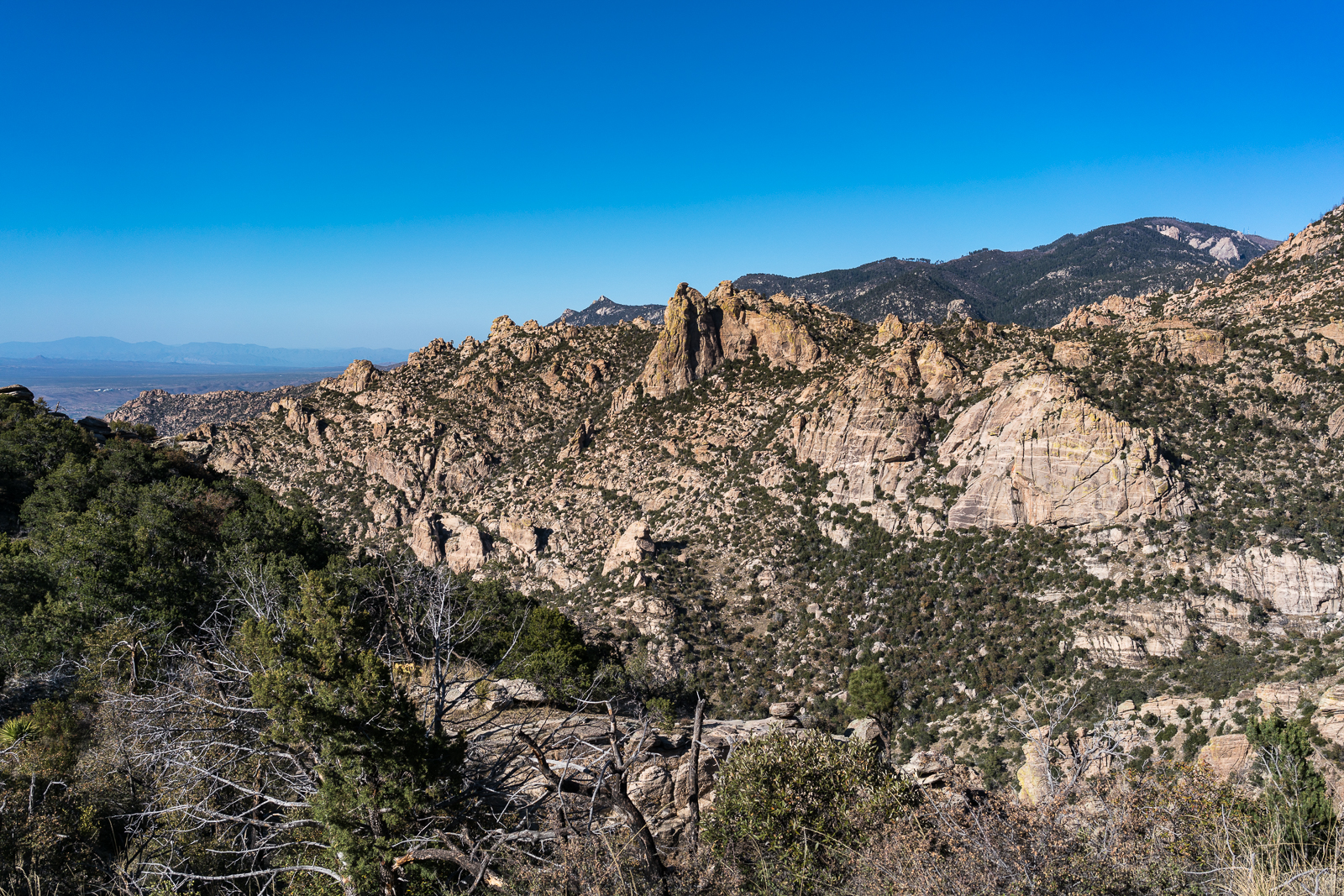 A view from Mount Lemmon  on the right to the Biosphere on the left - from the Esperero Trail between The Window and the junction with the Finger Rock and Ventana Trails. March 2016.