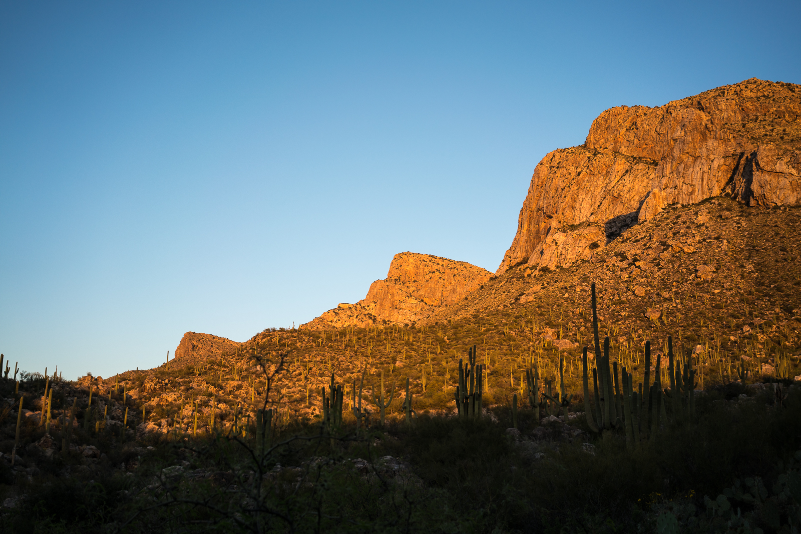 Cliffs below Pusch Peak and Bighorn Mountain in the sunset from the Linda Vista Trails. March 2016.