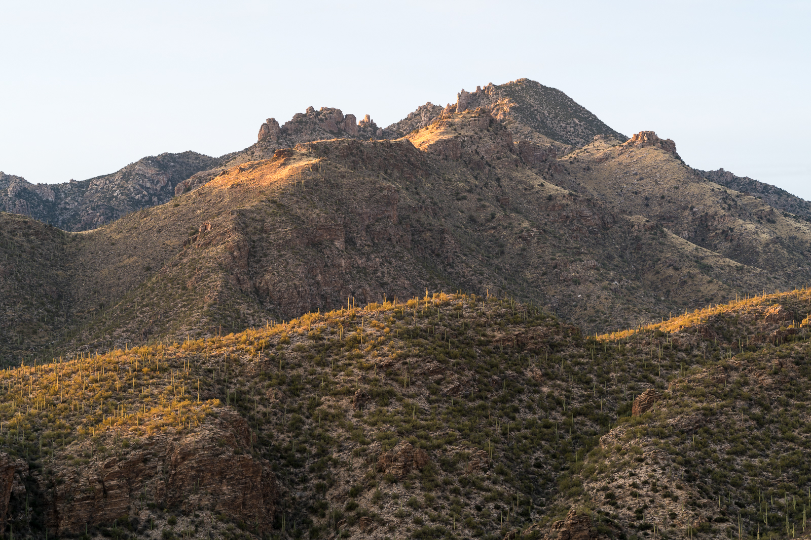 End of the day near the Phoneline Trail looking towards Rattlesnake Peak. March 2016.
