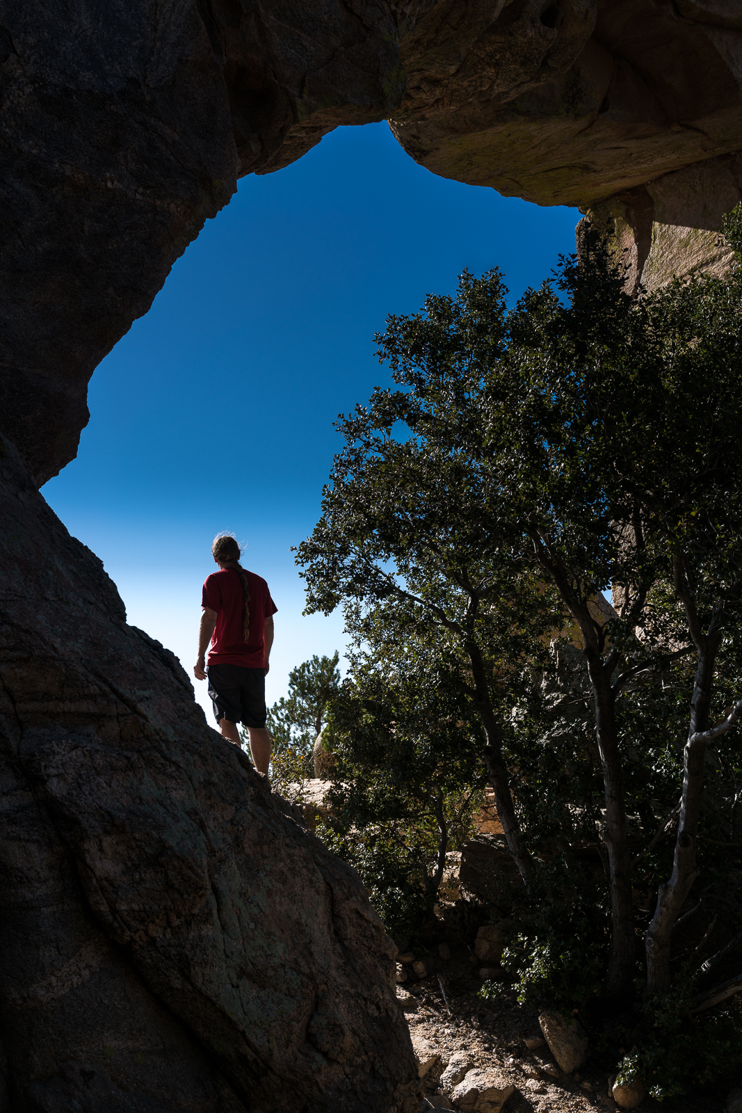 Standing in the Window. March 2016.