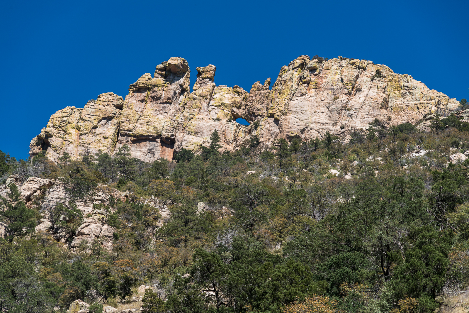 The Window from the Ventana Trail. March 2016.