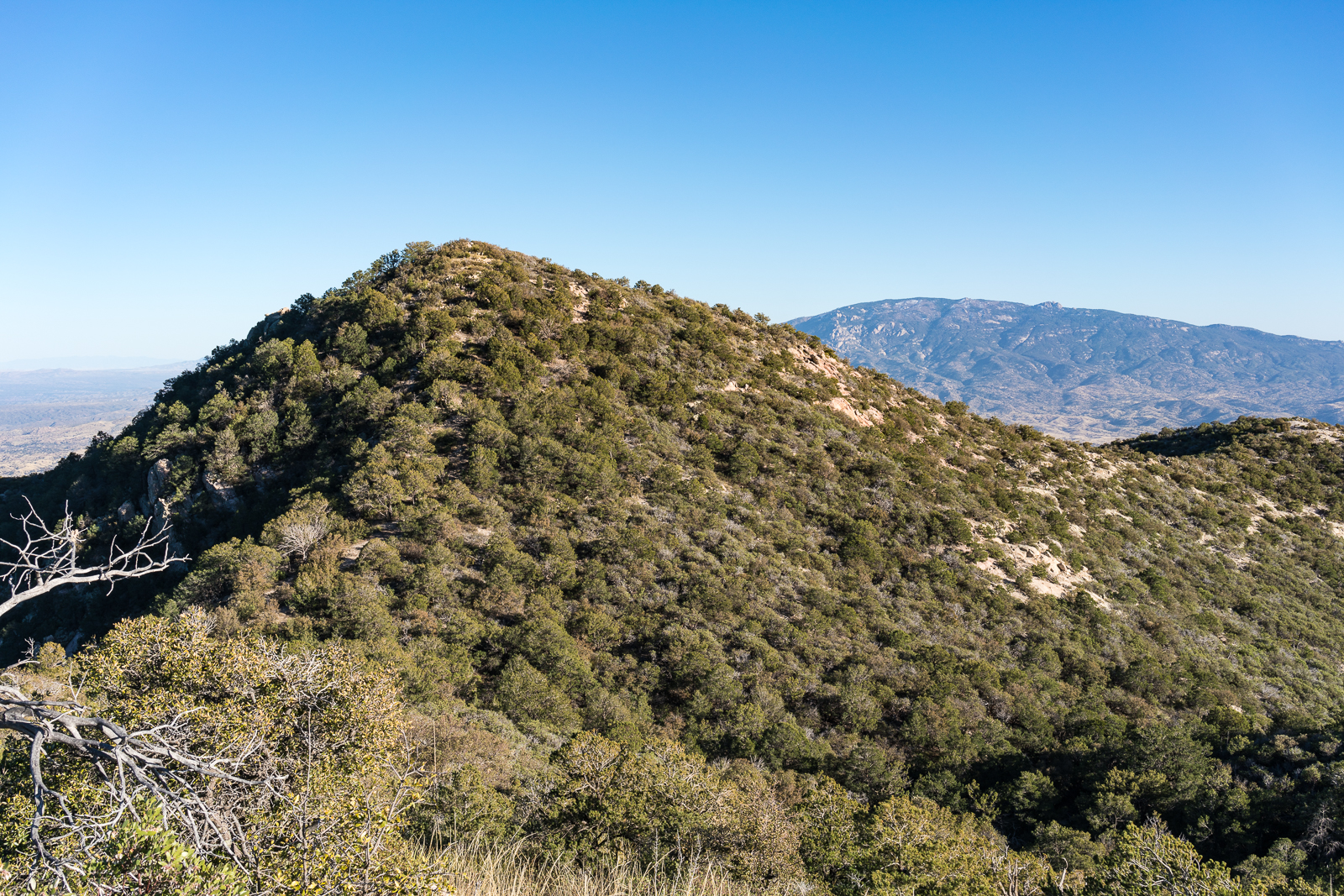 USGS Guthrie Mountain. March 2016.