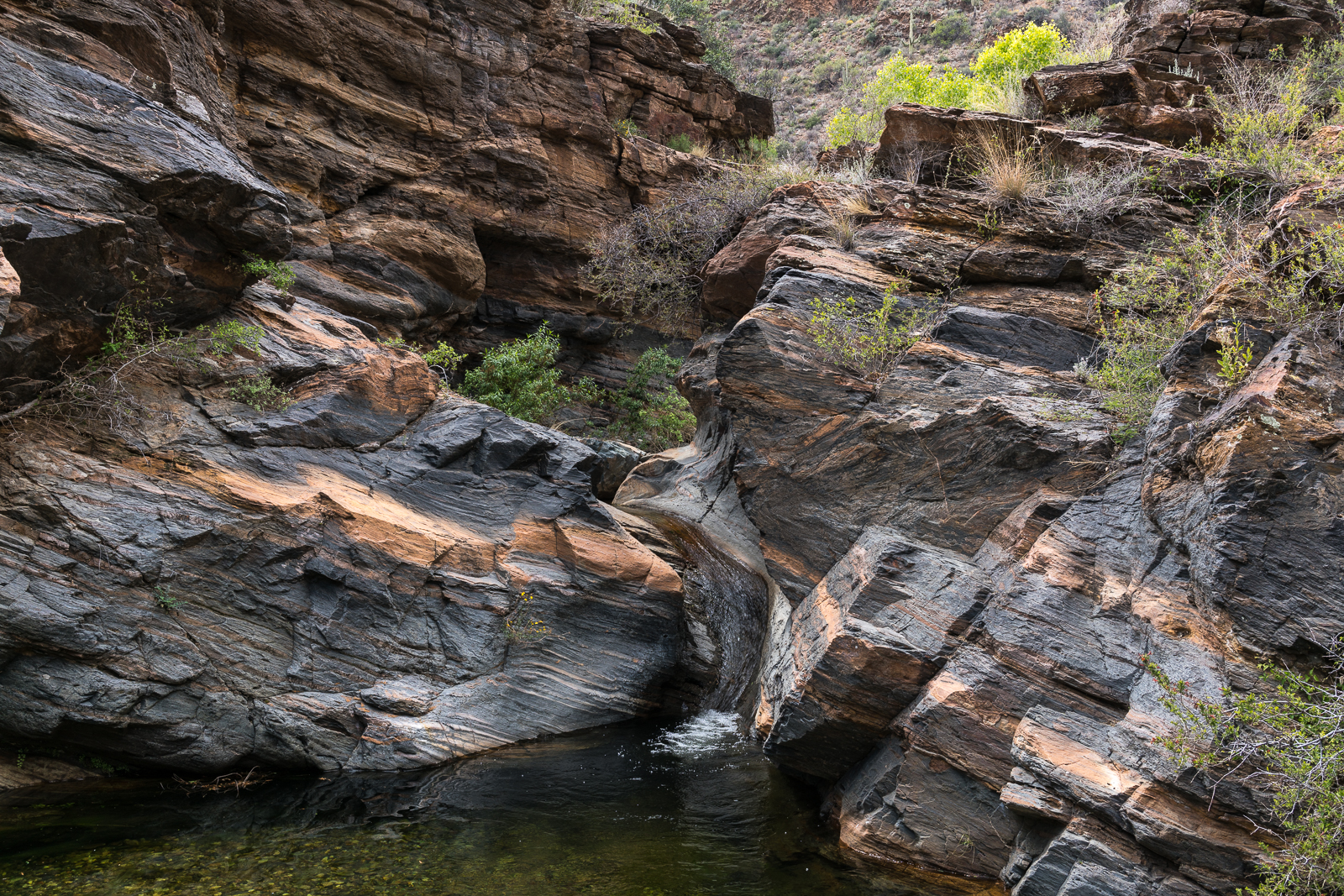 Beautiful rock in Edgar Canyon. April 2016.