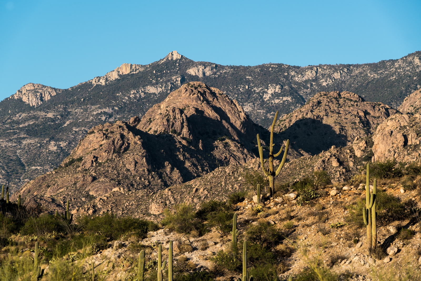 Golder Dome - front - and Samaniego Ridge and Peak - back - from Alamo Canyon in Santa Catalina State Park. April 2016.
