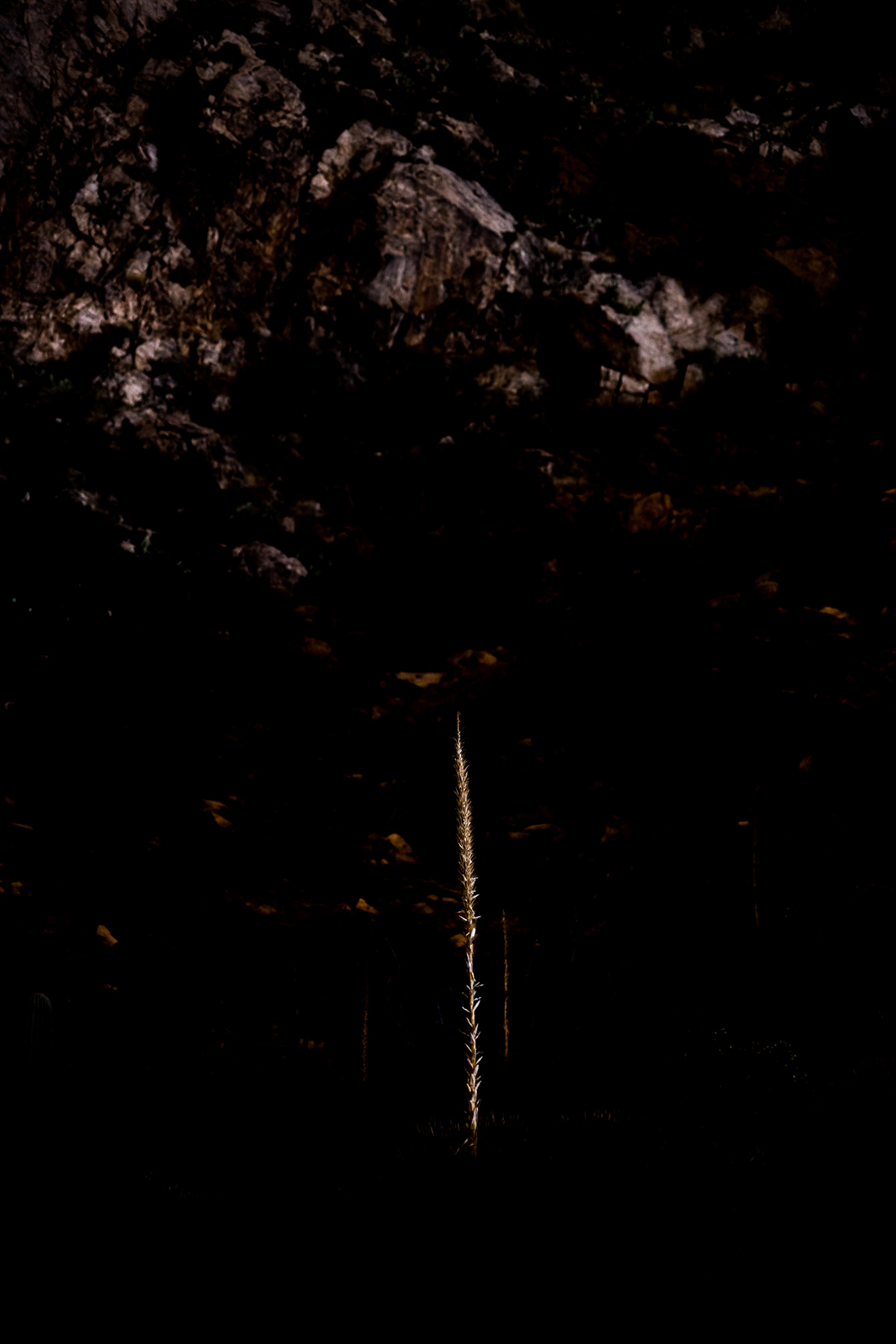 In the dark, Pusch Ridge Wilderness. April 2016.