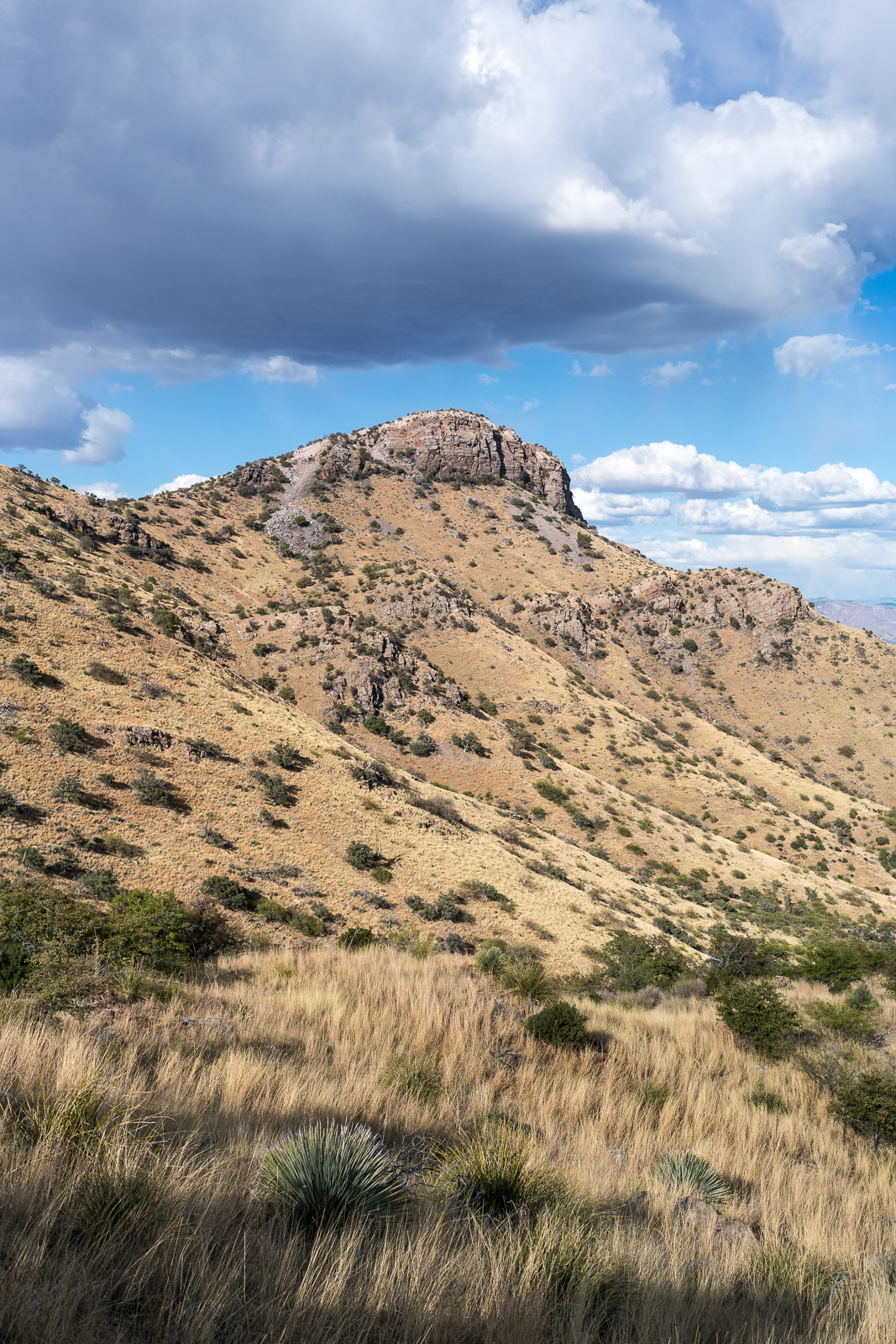 Point 5817 above Edgar Canyon - above Araster Spring in Peck Basin. April 2016.