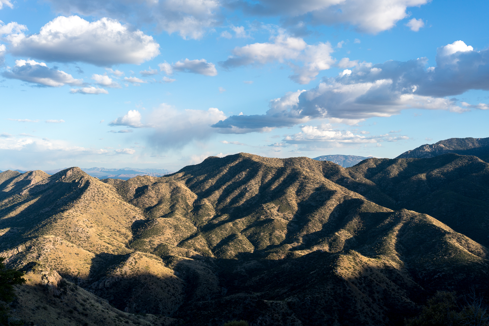 Looking across Peck Basin - shadows covering the landscape at the end of the day. April 2016.