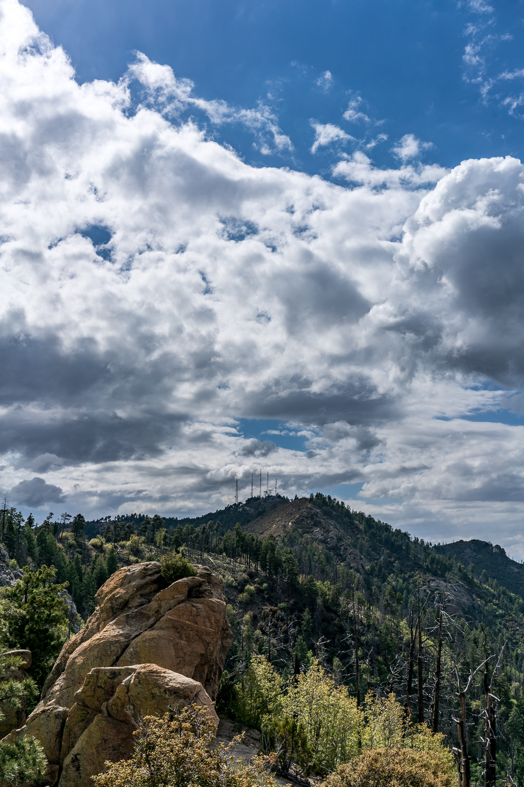 Kellogg Mountain and Mount Bigelow from Leopold Point near the Incinerator Ridge Trail. May 2016.