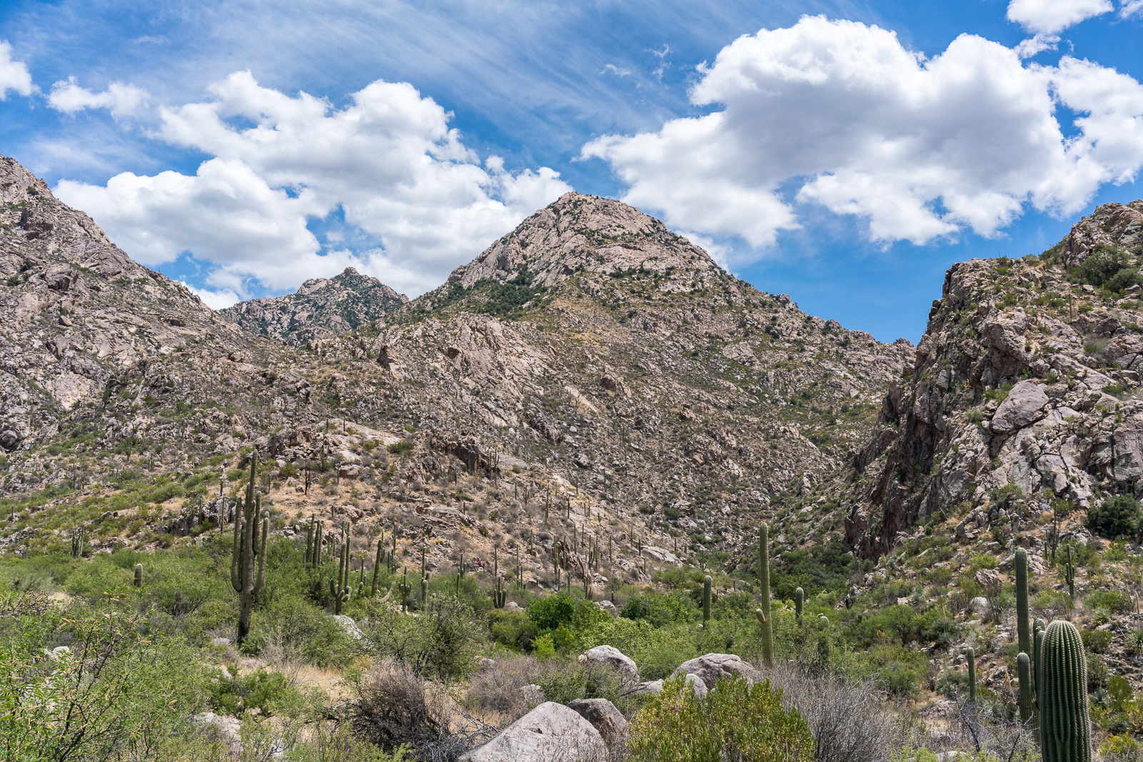 Looking up Romero Canyon. May 2016.