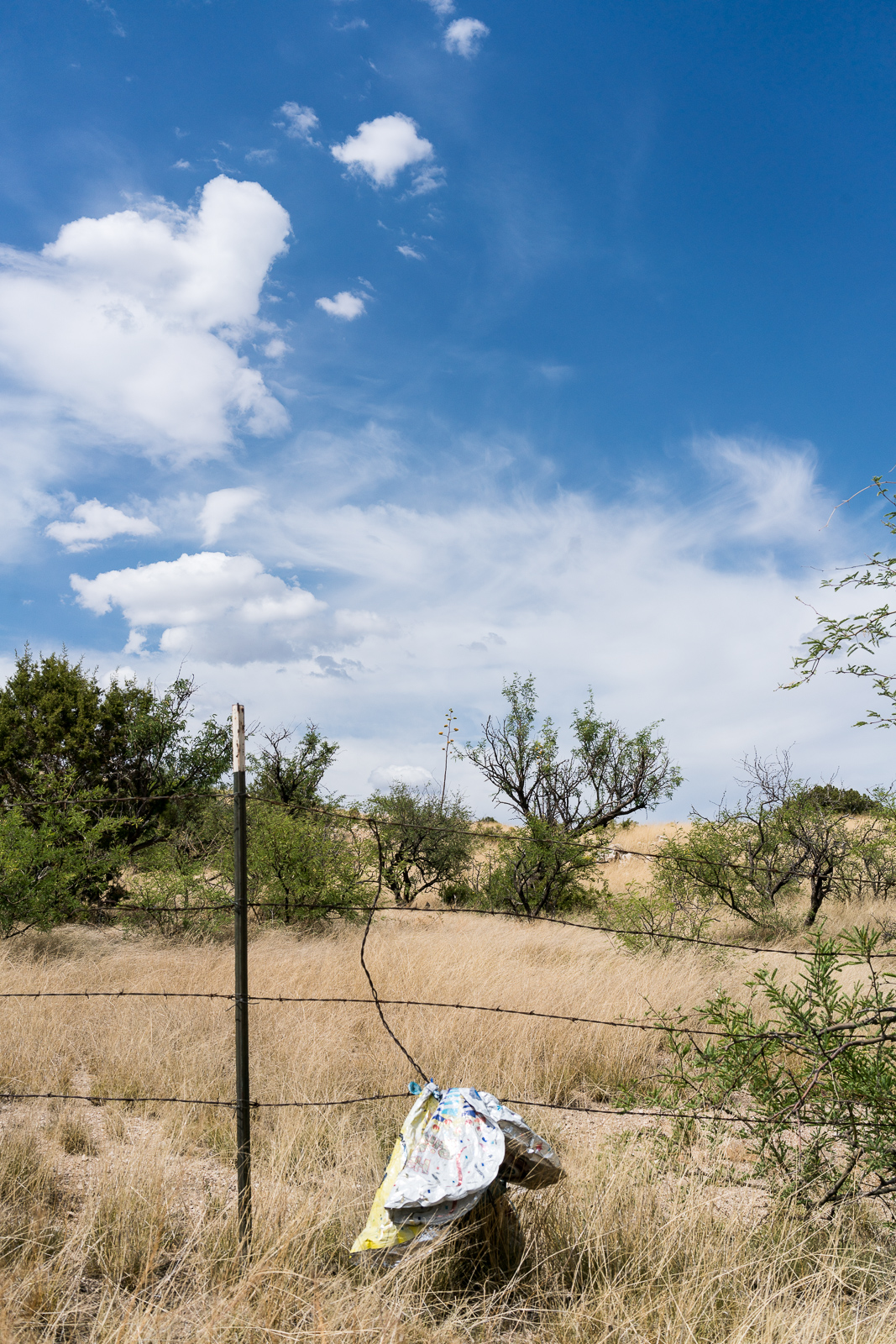 Trash - a bundle of balloons snagged on a barbed wire fence near White Tank off Redington Road - the only trash in sight... June 2016.