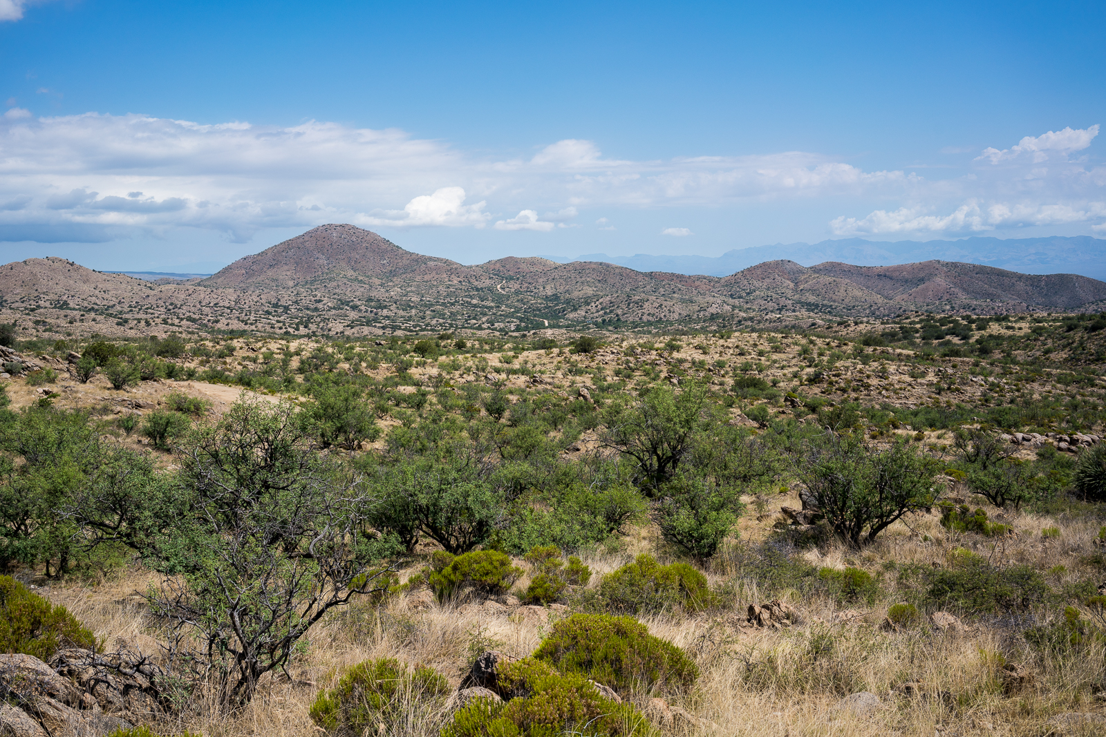 Piety Hill, A-7 Ranch, Redington Road. July 2016.