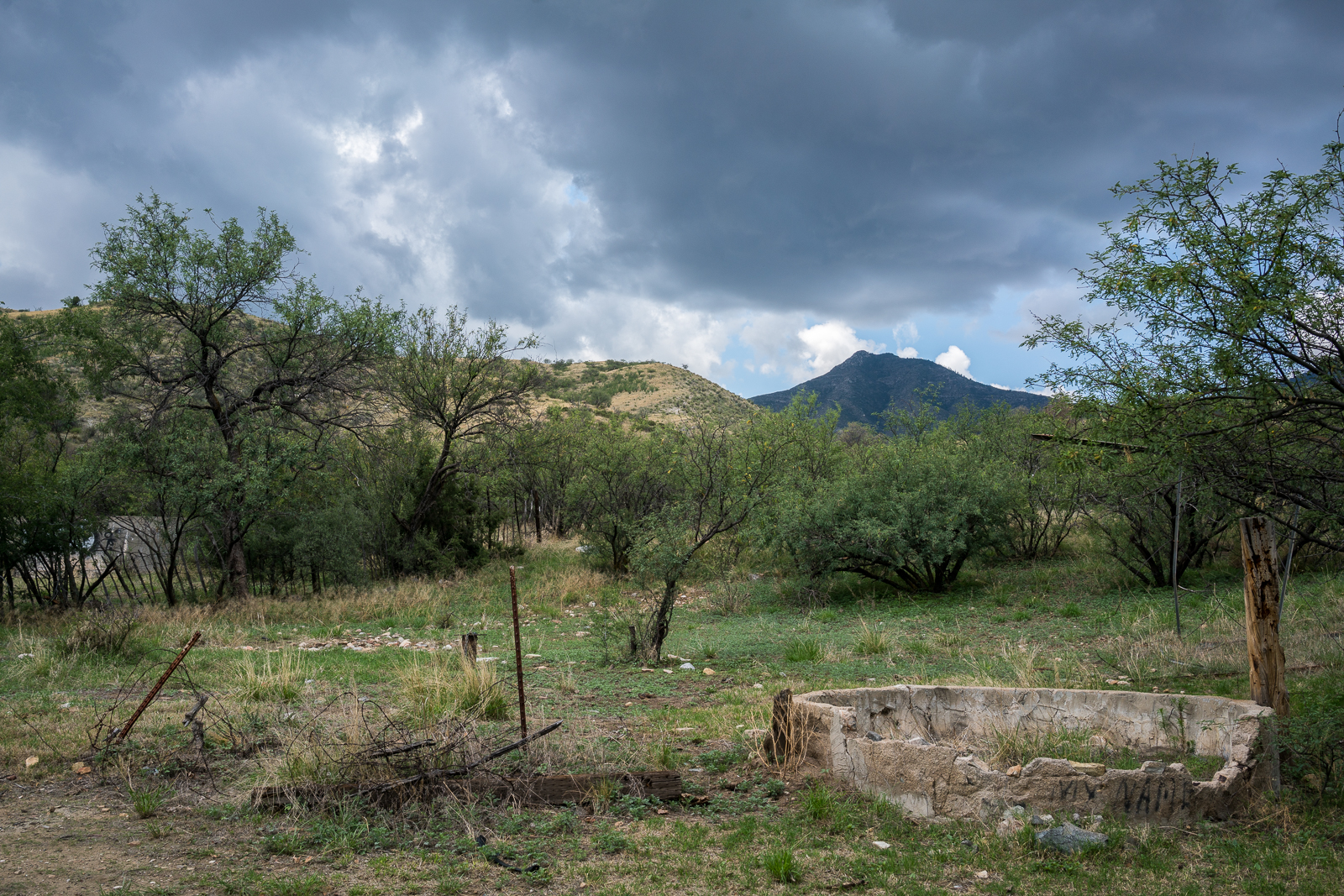 The Bat Well area off of Black Hills Mine Road. July 2016.