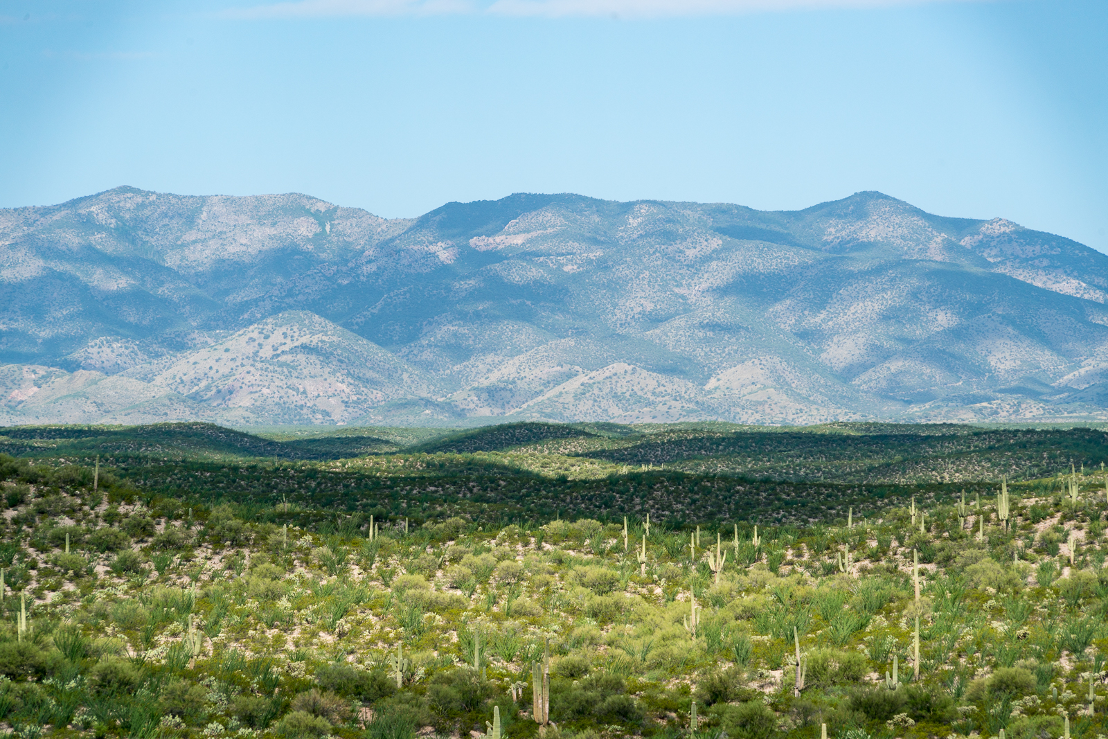 Cloud shadows on the hills between Black Hills Mine Road and the Santa Catalina Mountains. July 2016.