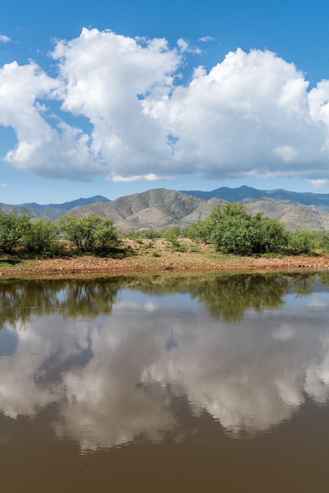 Ventana Tank - reflections of Point 5817 between Alder and Edgar Canyons and the clouds above. July 2016.