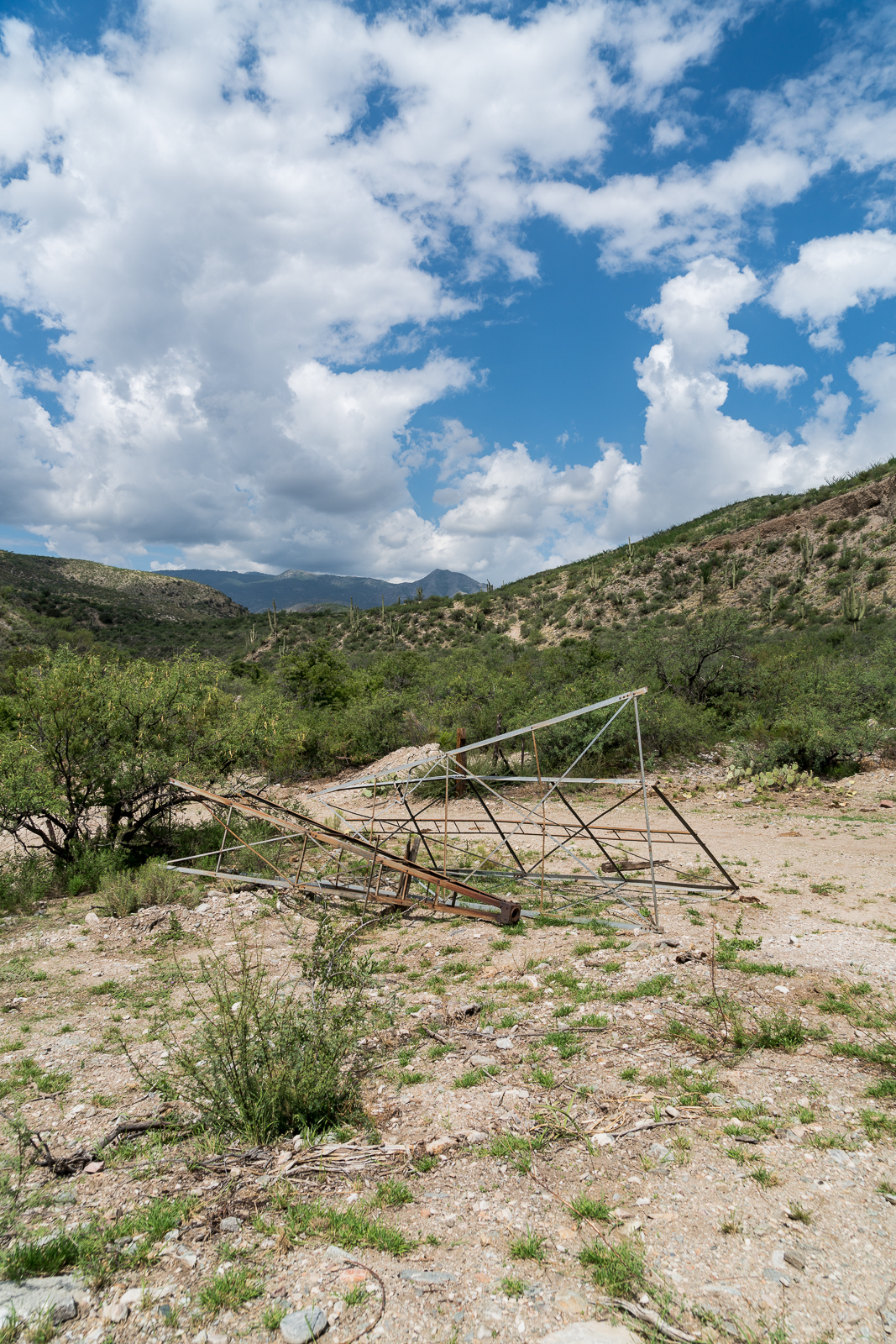 The remains of the Ventana Windmill in the bottom of Alder Canyon - now replaced by a solar powered pump. July 2016.