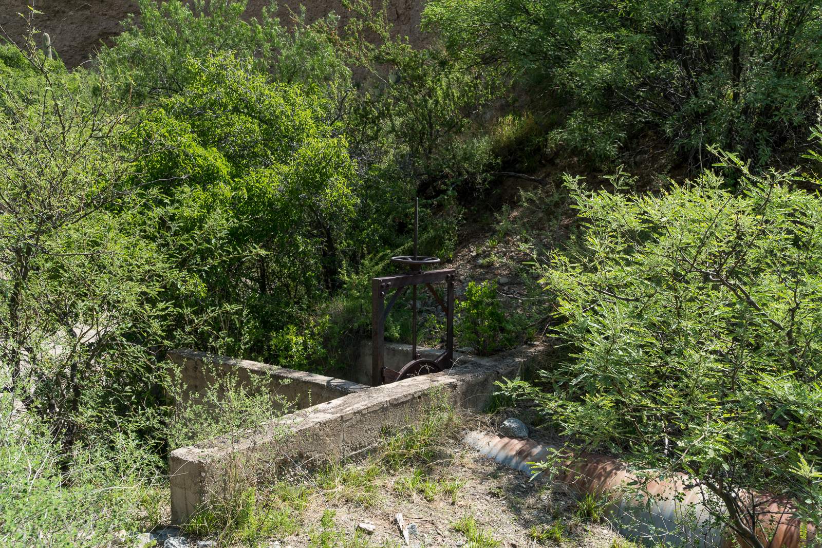 Water works near the Ventana Windmill in a small side canyon. July 2016.
