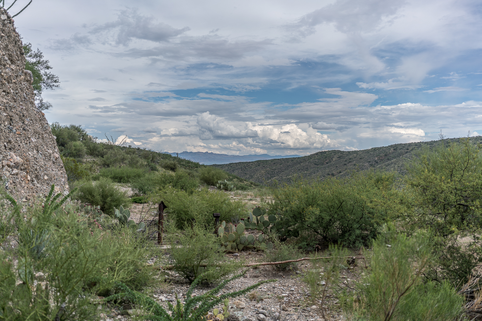 Marked on the map as 'Drill Hole' this small site sits on the slope of Alder Canyon below Black Hills Mine Road. August 2016.