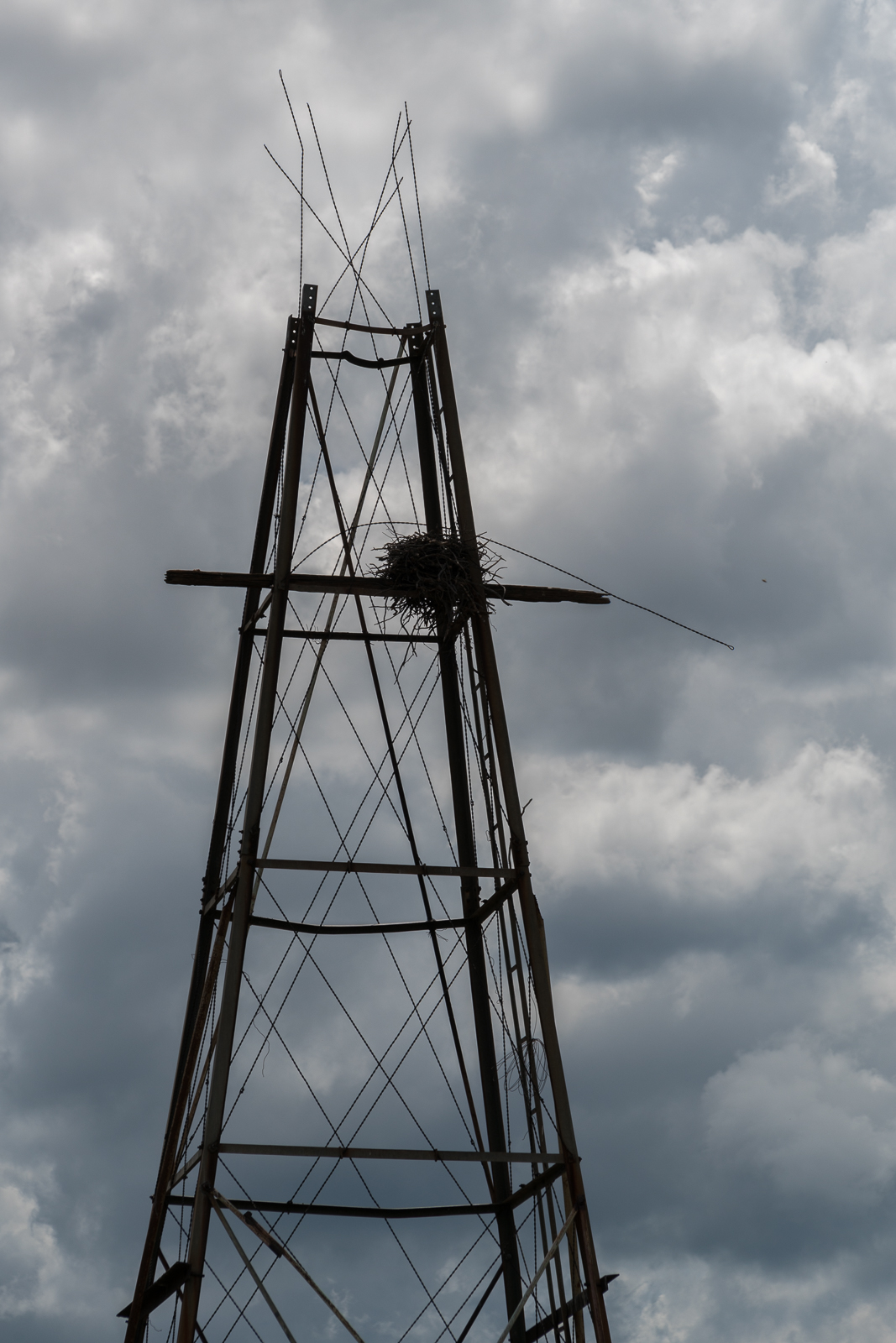 Headless Windmill in Geesaman Wash at 'Deep Well'. August 2016.