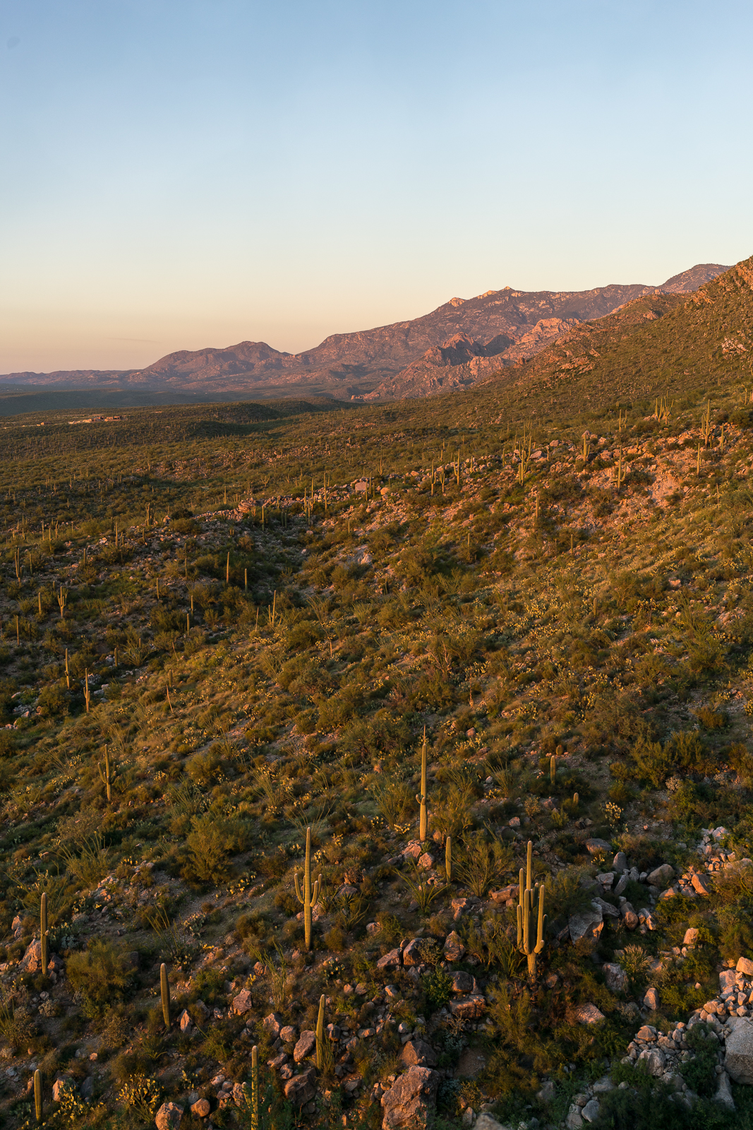 Looking across the Pusch Ridge Wilderness towards Charouleau Gap from near the Linda Vista Trails. September 2016.