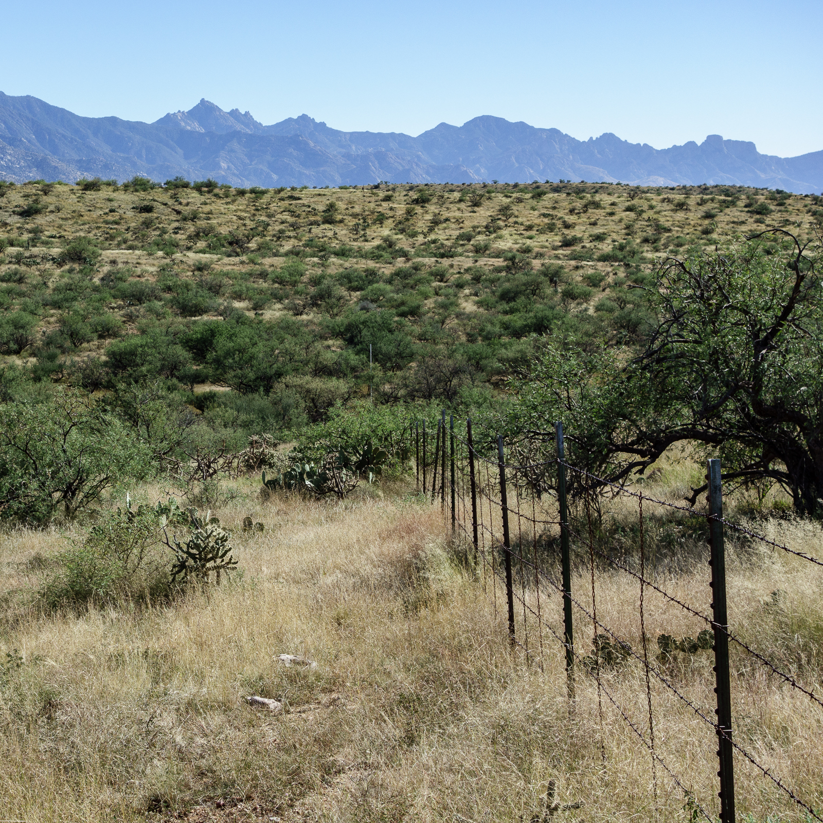 A fence between Biosphere Road and Catalina Tank. October 2016.