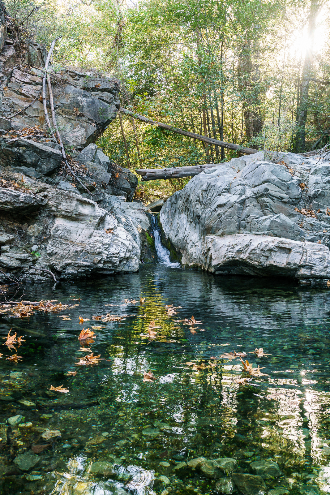 Pool in Alder Canyon. October 2016.