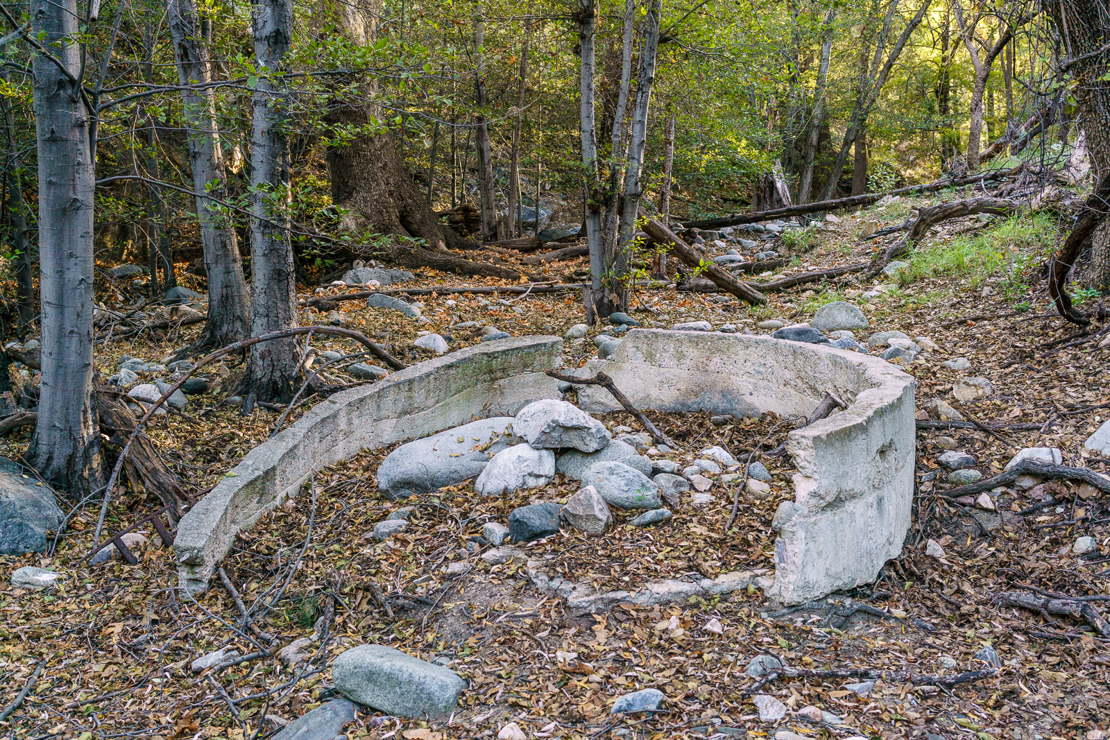 Water trough in Alder Canyon near Juan Spring. October 2016.