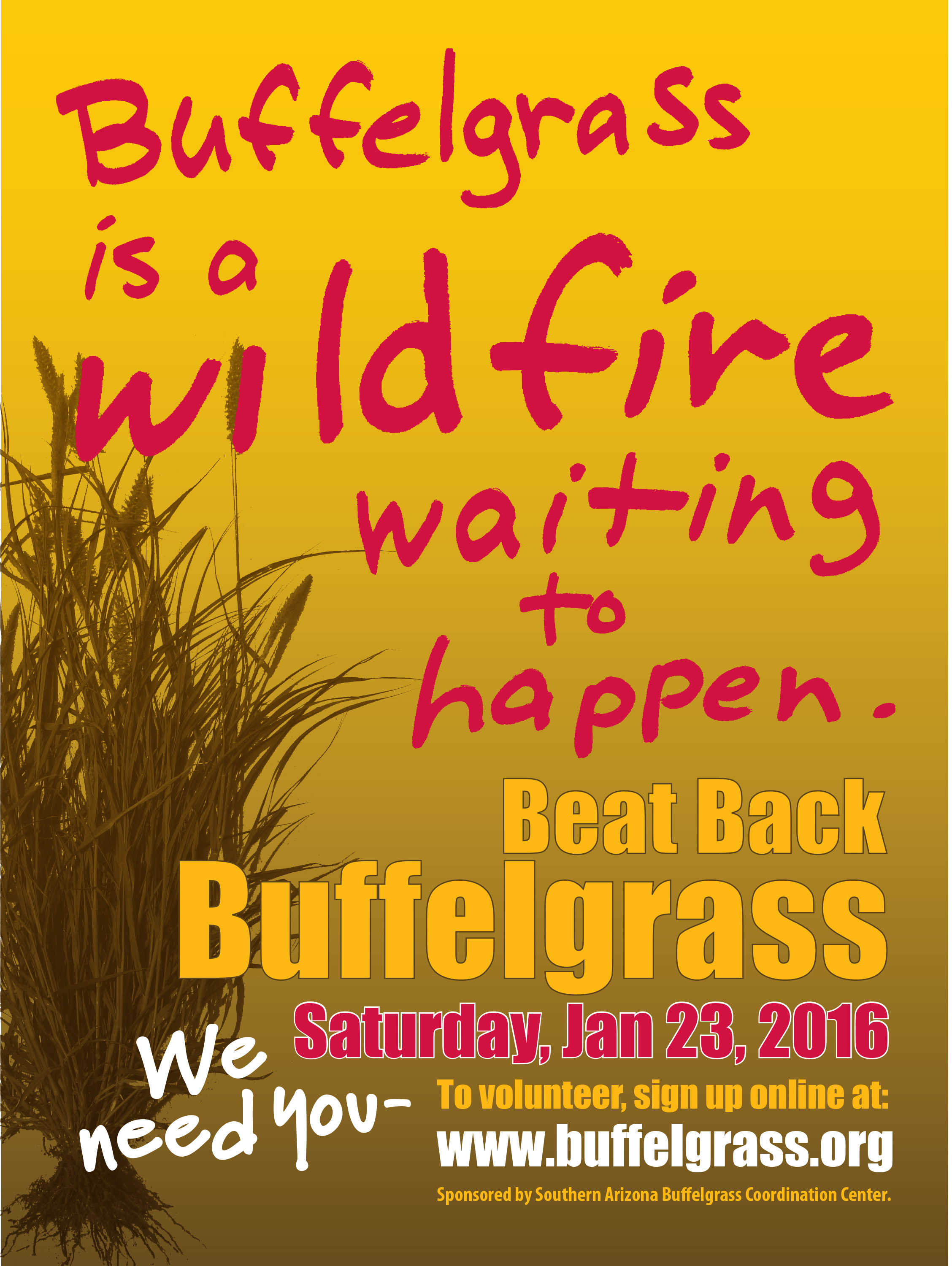 Beat Back Buffelgrass 2016!! January 2016.