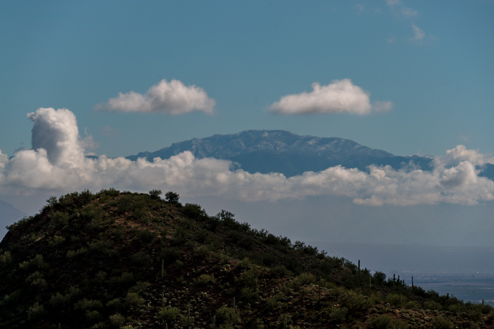 Mount Lemmon above the clouds from Ironwood Forest National Monument. February 2017.