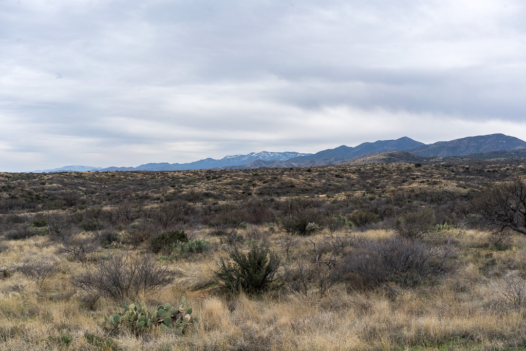 An overcast weekday in Oracle State Park. March 2017. March 2017.