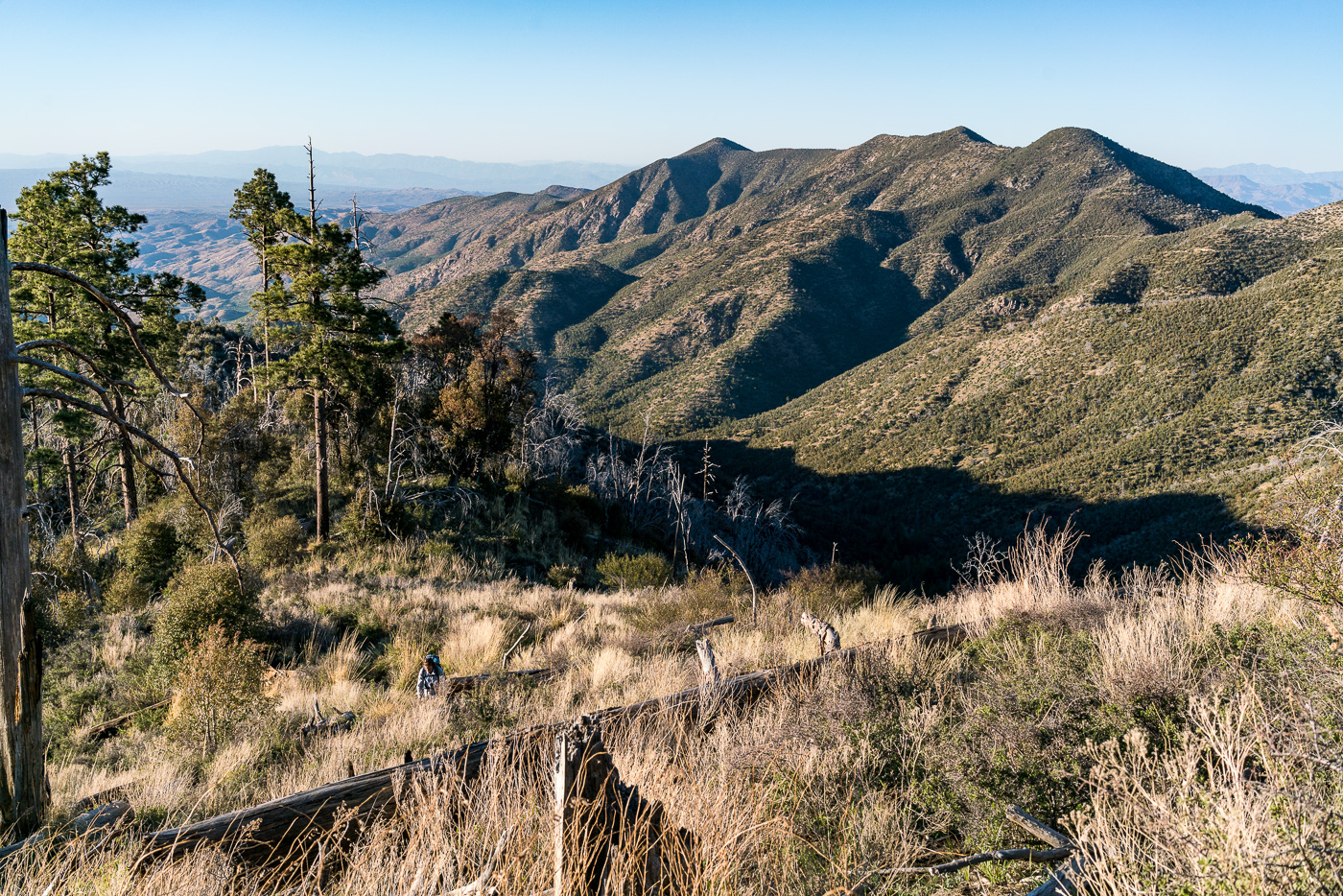 Kathy climbing up the Red Ridge Trail. May 2017.