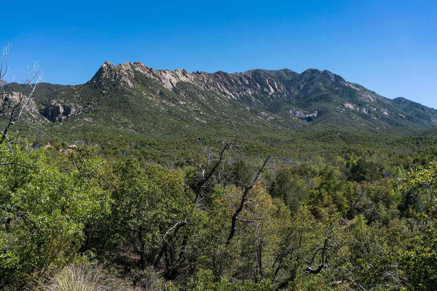 The Reef of Rock from the Red Ridge Trail - the large formations on the right side are referred to as the 'Sea Gods'. May 2017.