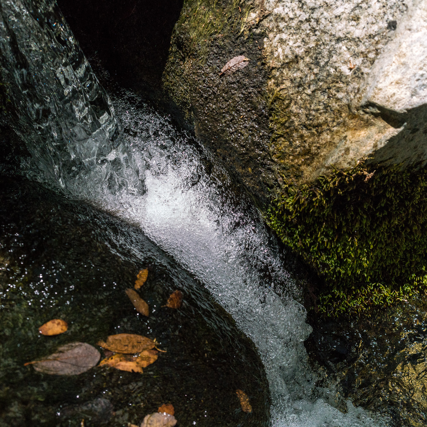 Flowing water in the Canada del Oro. May 2017.